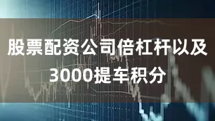 股票配资公司倍杠杆以及3000提车积分