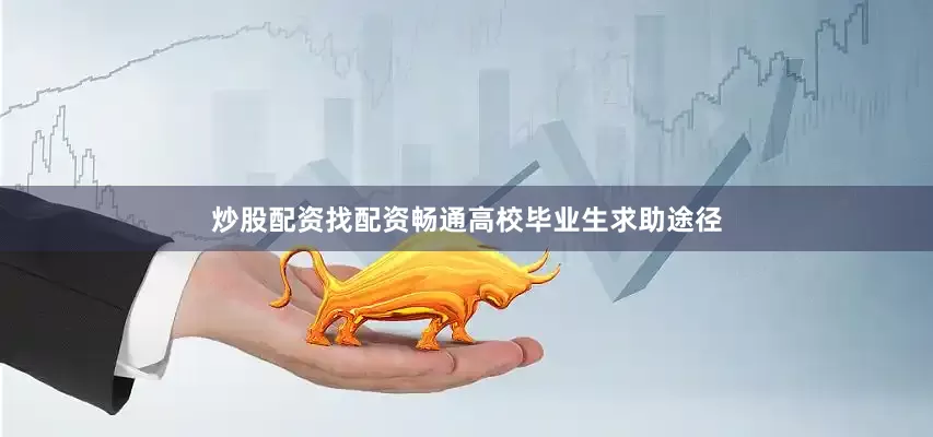 炒股配资找配资畅通高校毕业生求助途径