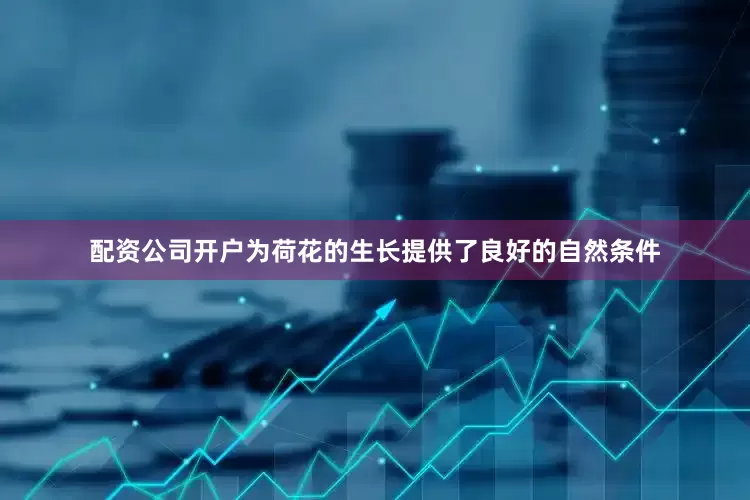 配资公司开户为荷花的生长提供了良好的自然条件