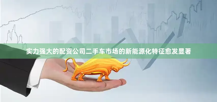 实力强大的配资公司二手车市场的新能源化特征愈发显著